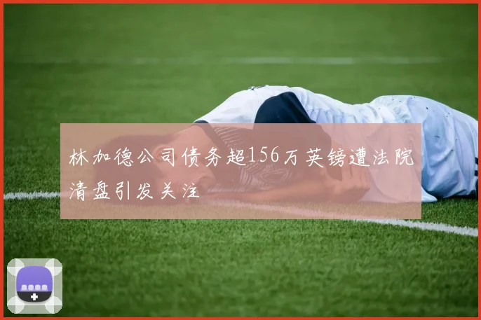 林加德公司债务超156万英镑遭法院清盘引发关注