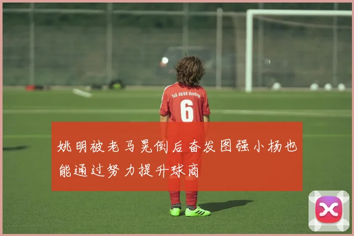 姚明被老马晃倒后奋发图强小杨也能通过努力提升球商