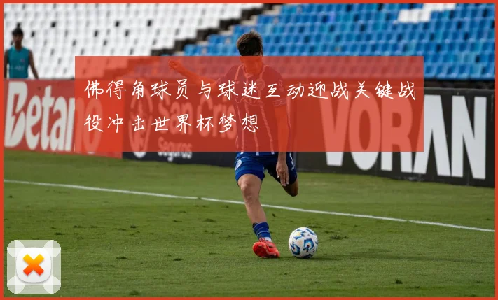 佛得角球员与球迷互动迎战关键战役冲击世界杯梦想
