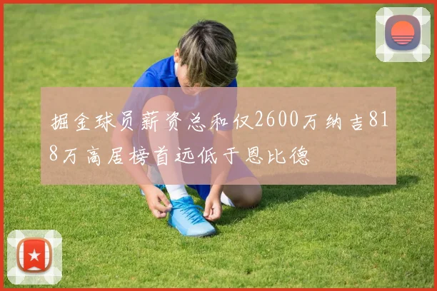 掘金球员薪资总和仅2600万纳吉818万高居榜首远低于恩比德