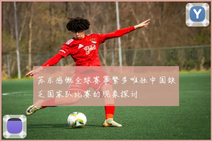 苏东感慨全球赛事繁多唯独中国缺乏国家队比赛的现象探讨