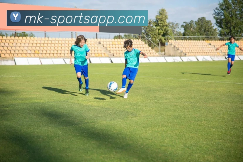 MK体育平台生态图