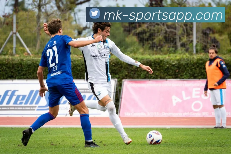 MK体育APP 封面图