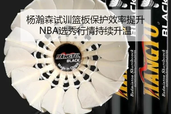 杨瀚森试训篮板保护效率提升 NBA选秀行情持续升温 | MK
